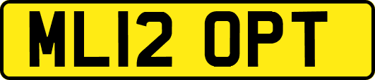 ML12OPT