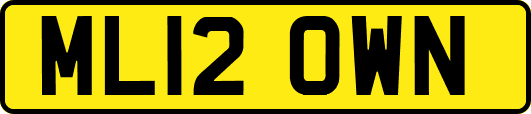 ML12OWN