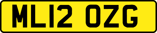ML12OZG