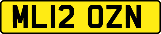 ML12OZN