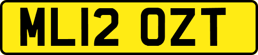 ML12OZT