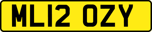 ML12OZY
