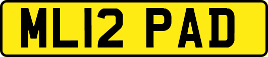 ML12PAD