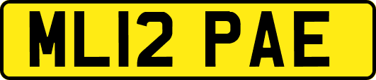 ML12PAE