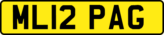 ML12PAG