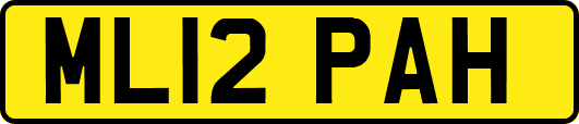 ML12PAH