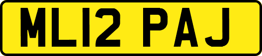 ML12PAJ