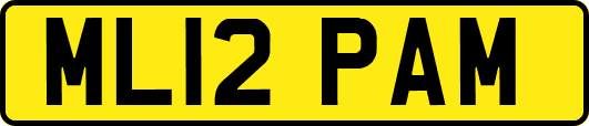 ML12PAM