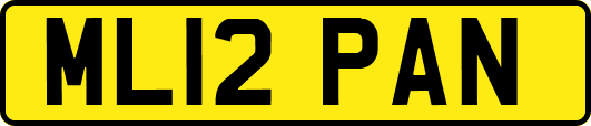 ML12PAN