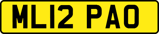 ML12PAO