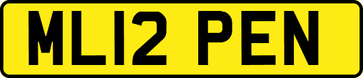 ML12PEN