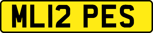ML12PES