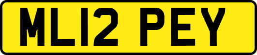 ML12PEY