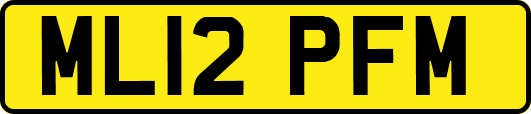 ML12PFM