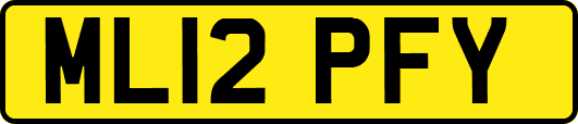 ML12PFY