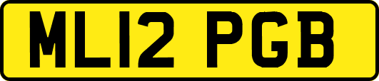 ML12PGB