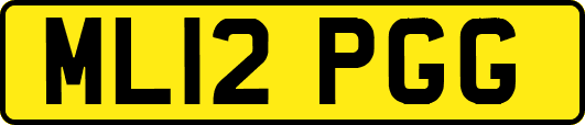 ML12PGG