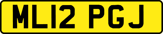 ML12PGJ