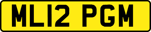 ML12PGM