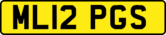 ML12PGS