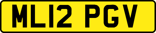ML12PGV