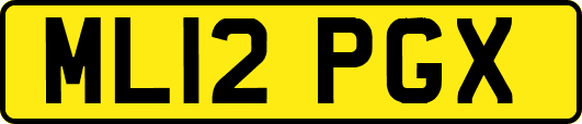 ML12PGX
