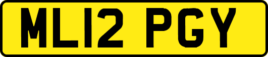 ML12PGY