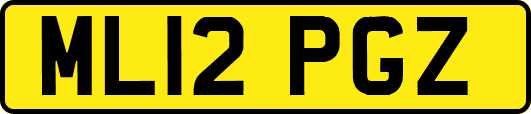 ML12PGZ