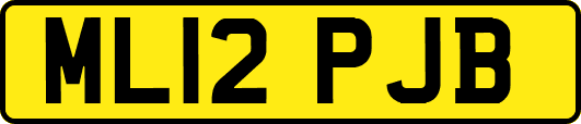 ML12PJB