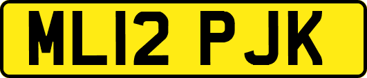 ML12PJK