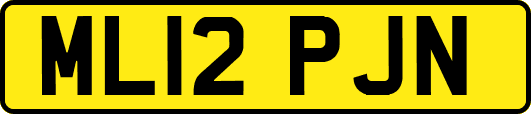 ML12PJN
