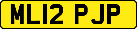 ML12PJP