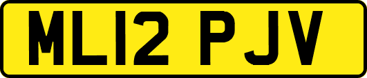 ML12PJV