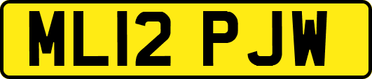 ML12PJW