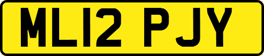ML12PJY