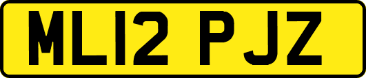 ML12PJZ