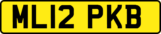 ML12PKB