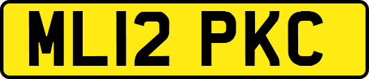 ML12PKC