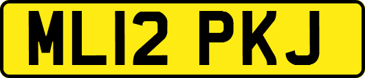 ML12PKJ