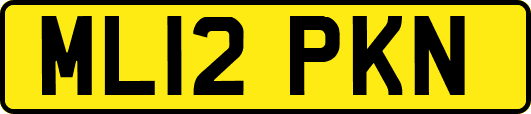 ML12PKN