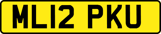 ML12PKU