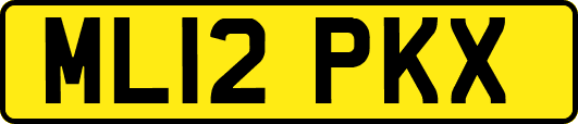 ML12PKX