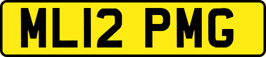 ML12PMG