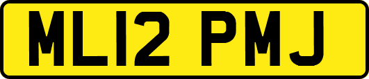 ML12PMJ