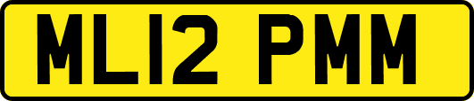 ML12PMM