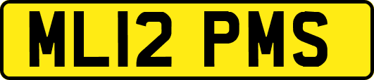 ML12PMS
