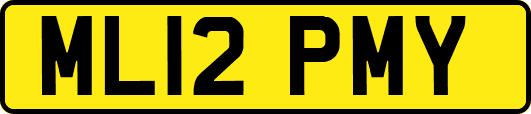 ML12PMY