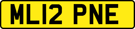 ML12PNE