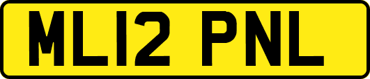ML12PNL