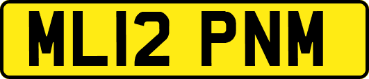 ML12PNM